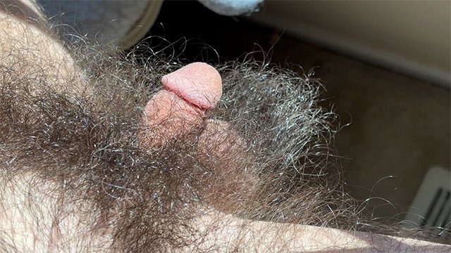 Pubicus Maximus - small dick in big hair - 6 month no trim update