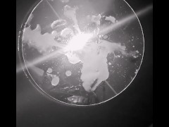 cum twice x magic wand x mirrorplay x huge cock x massive cumload x edging