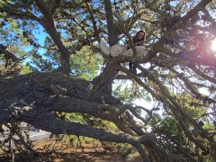 TEMPORARY SEXUAL SATISFACTION 2/16