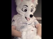 Fursuit Pubby Paws Off Until He Cums!