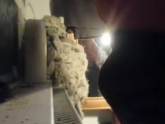 cock peeking