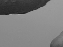 Man trying out his size of his Dick using Toy and other things d other things before he gets Bigger