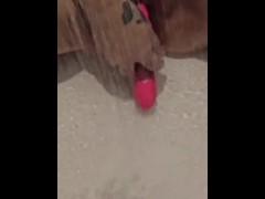 Lonely and horny in the shower riding my vibrator