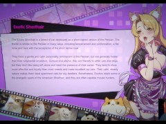 Miss Neko 3 FULL GAME ITA