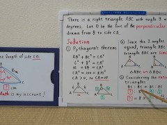 Find the length of side CD.The perpendicular line.[JapanMath](lesbian)