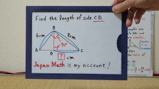 Найдите длину стороны CD.Перпендикулярная линия. [ЯпонияМатематика](лесбиянка)