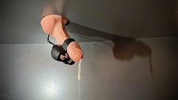 挤奶台上的性感直男用鸡巴震动挤奶机射精两次
