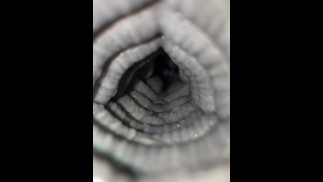 Close up creampie inside a Bad Dragon Toy