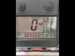 My Pupils Dilate for Tent Girls, Motorcycling and The Warm Throb of My Cock!!!  ^_^