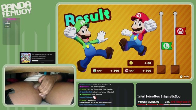 PandaFemboy Plays Mario & Luigi: Brothership Part 16
