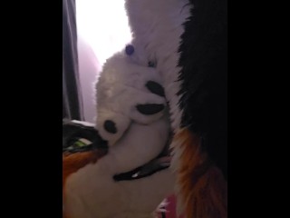 Дрочка лапой и минет