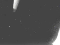 Goodtime with purrfect red