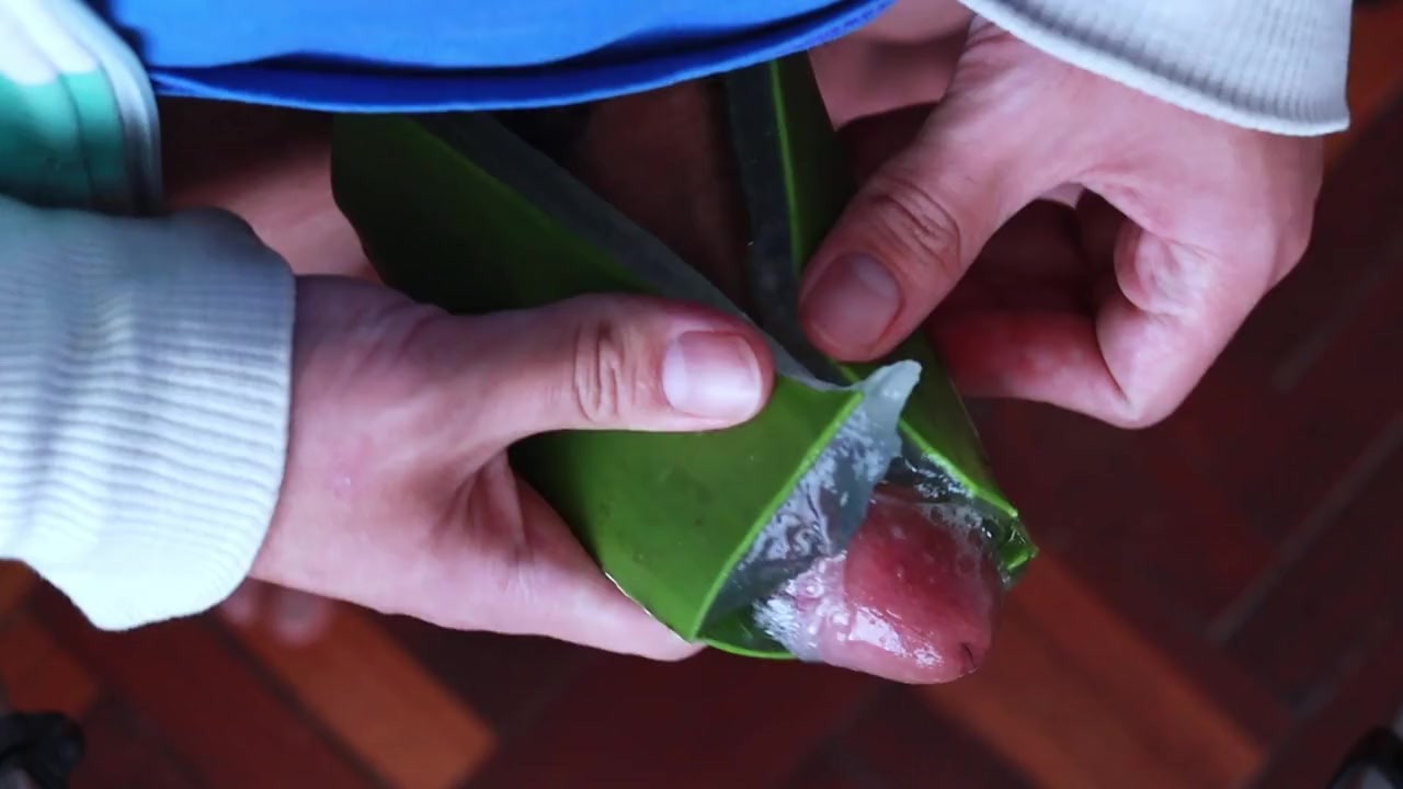 furunkel aloe vera Purgrün Aloe-Vera-Dünger 1 Liter