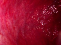 Internal Camera Anal 16oz Can Insertion