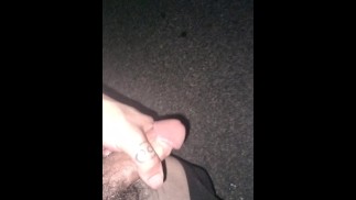 Чувак останавливается, чтобы подрочить, и выходит, чтобы кончить на дороге