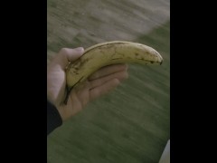 How Yall Like These Hard Tree Dicks?