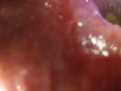 POV - Stretching my hole with a meerkat toy