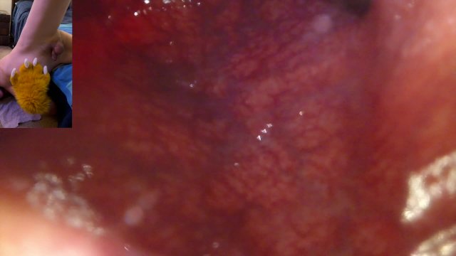 Pawing at you from the outside