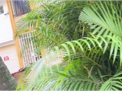 Sucking a big dick while my husband drives around - Screenshot 6 of 16 - Public