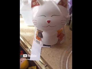 Азиатка Kitty