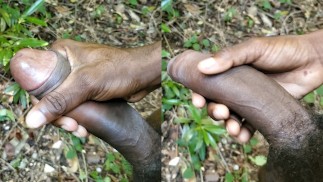 Hot Deep Voice Solo Male Jamaican Jerks Off his Huge Dick and speaks patwa