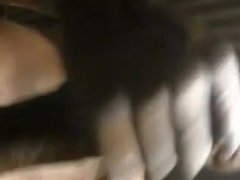 LOUD MOANING JAMAICAN MAN STROKING HIS BI BLACK COCK