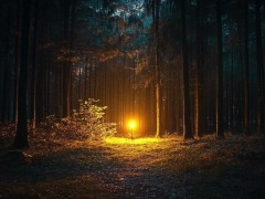 AUDIO ROLEPLAY: Ghostface Fucks You In The Woods [Audio Porn For Women]