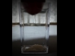 Massive Release into Water