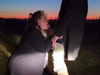 Abgeblasen Bei Sonnenuntergang Im Weinberg