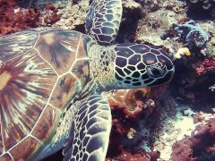 Testing scheduler - Screenshot 6 of 16 - Ocean