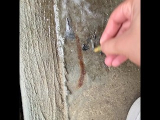 Smoke Sesh • Backyard