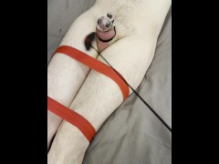 Queen’s Power Over Her Bound Slave