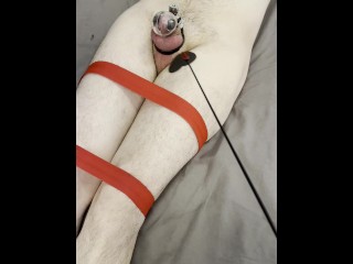 Queen’s Power over her Bound Slave