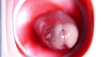 阴户内的摄像头！最湿最美味的洞，里面有一个大鸡巴！