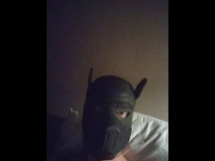 Sun jerking off for master - Screenshot 13 of 16 - Gay Submissive