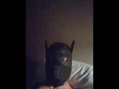 Sun jerking off for master - Screenshot 15 of 16 - Grinning Pup