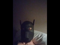 Sun jerking off for master - Screenshot 16 of 16 - Fuck Me Hard Daddy