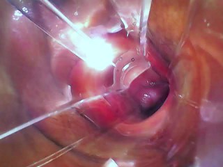 Deep in the Pussy. Crem's Search. 4 k