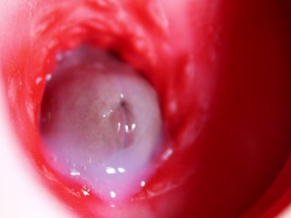 Nice Big Head Slides inside best Friend's Sweet Shiny Hole!