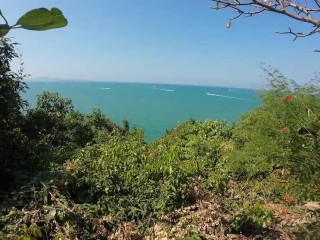 Thailand Pattaya Walk