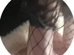 Делай что говорю - Screenshot 16 of 16 - домашние