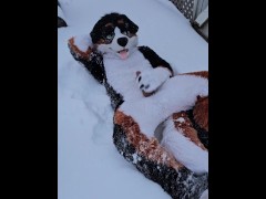 Pent up puppy @AngryBarks jerks off and cums outside in the snow 💦