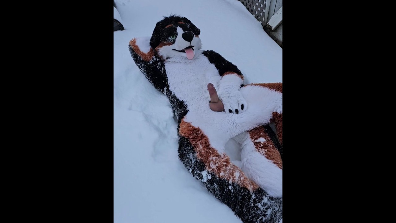 Filhote de cachorro @AngryBarks bate punheta e goza na neve 💦