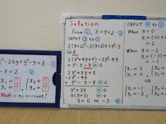 (x1= , y1= ) or (x2= , y2= ).[JapanMath](lesbian)