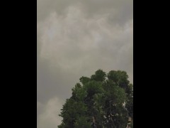Wind of change