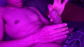 Lazing in Lavender