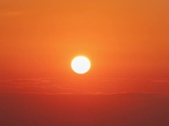 THE SUN^