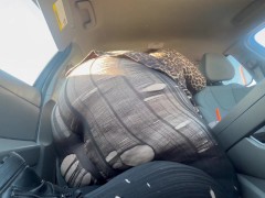Passenger Princess - Screenshot 6 of 16 - Ass Tease