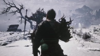 Black Миф: Укун | Cyan Loong Fight [4K PC] Без комментариев