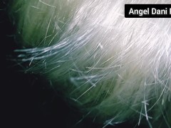 Cougar CumShot Close Up - Super Hot Cumshot